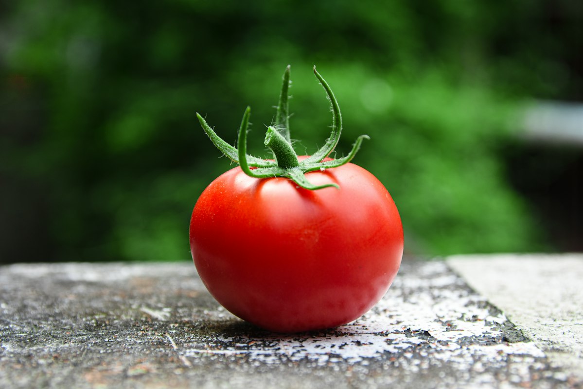 Berries blueberries antioxidants prostate