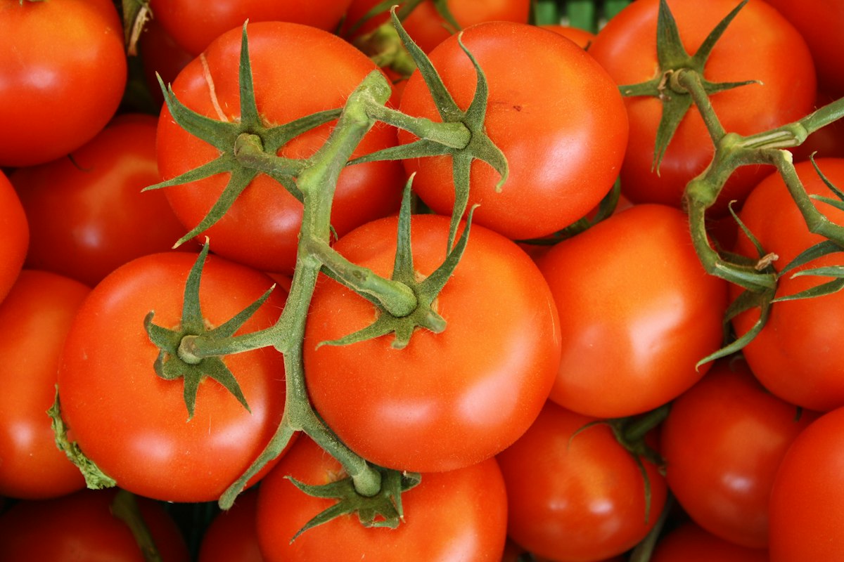 Colorful antioxidant-rich vegetables and fruits arranged for prostate health
